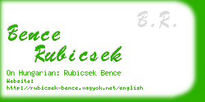 bence rubicsek business card